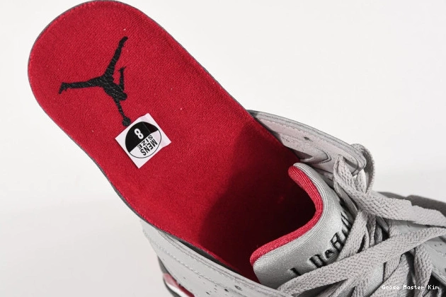 BV6281-006 Reflective Jordan Cardinal Air 7 0721
